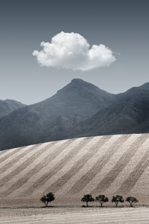 Fotoğraf 
