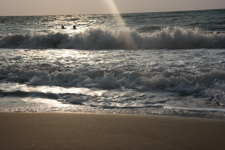 Gold in Sunshine 사진