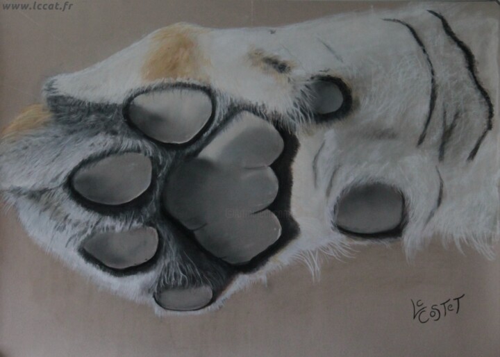 Peinture intitulée "La patte du tigre" par Catherine Costet (Lccat), Œuvre d'art originale, Pastel