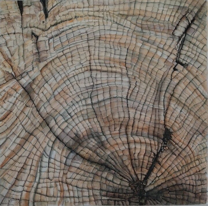 Drawing titled "Souche/Tree stump" by Isabelle Stagg, Original Artwork, Ink