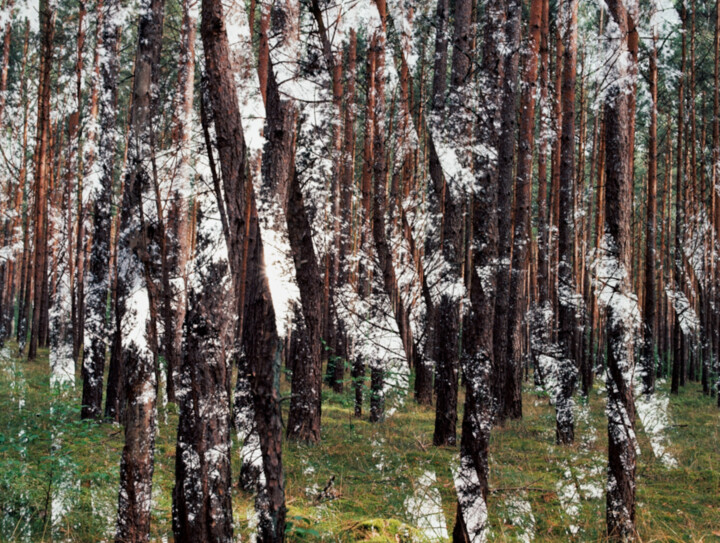 ABSTRAIT DES COLLAGES No.18 사진, 51.2x63 in