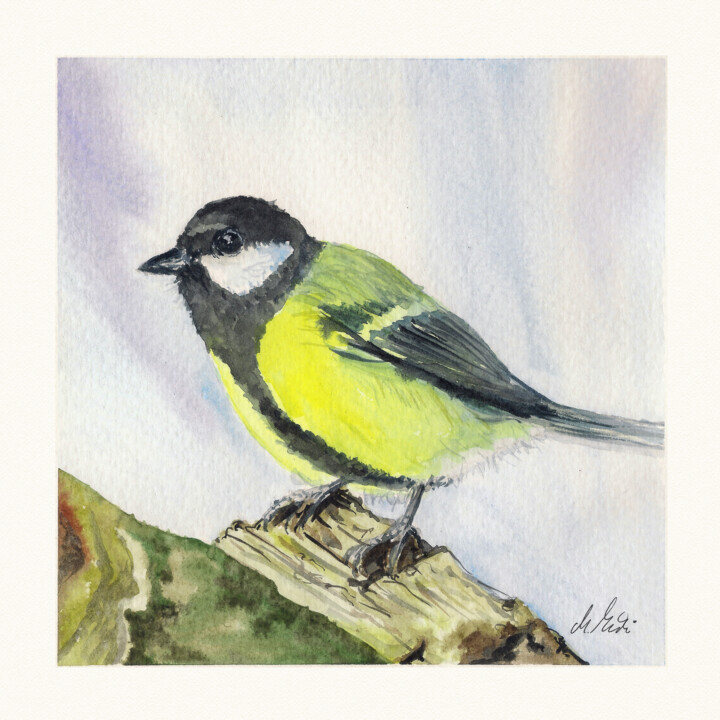Polish birds - Parus major 绘画, 7.9x7.9 in