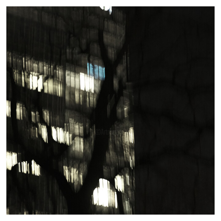 Windows (Dream of 19.I.2024) 摄影