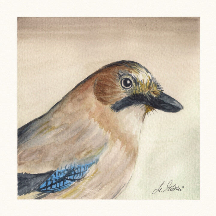 Polish birds - Garrulus glandarius 绘画, 7.9x7.9 in