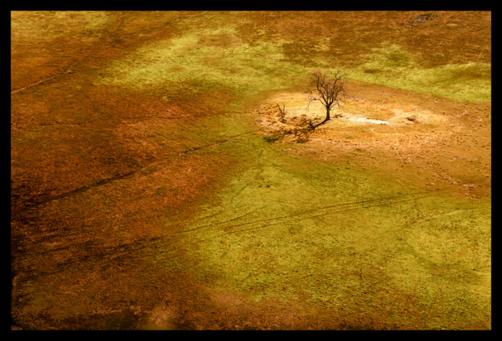 Okavango 摄影, 23.6x35.4 in