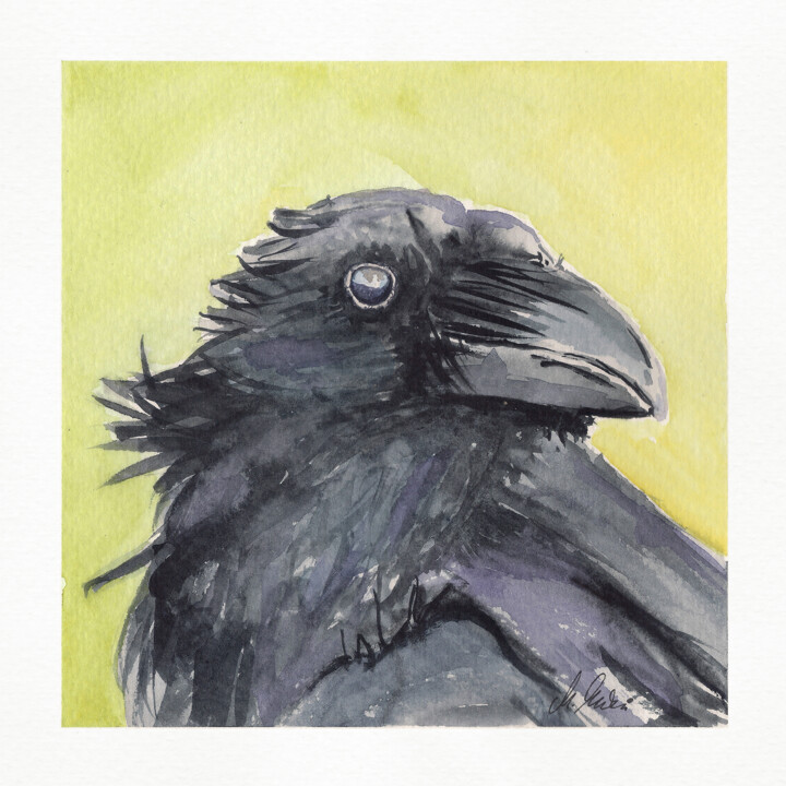 Polish birds - Corvus corax 绘画, 7.9x7.9 in