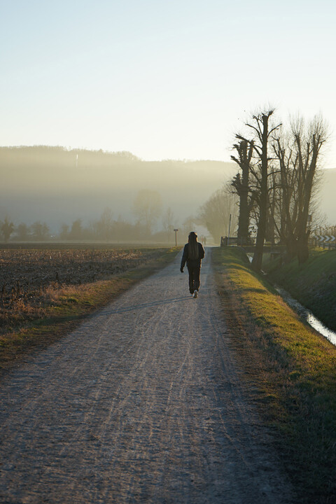 Walking on the afternoon 摄影, 23.6x15.8 in