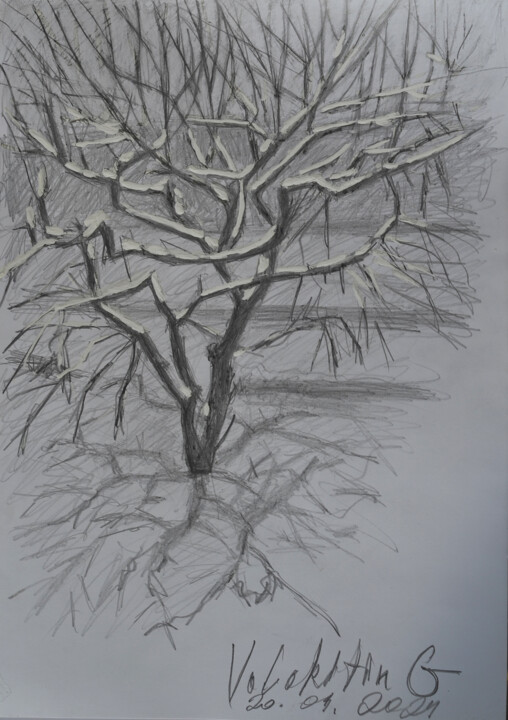 图画,  16.5x11.7 in 