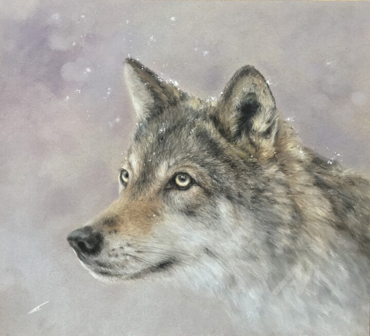 Snow 图画, 10.6x11.8 in