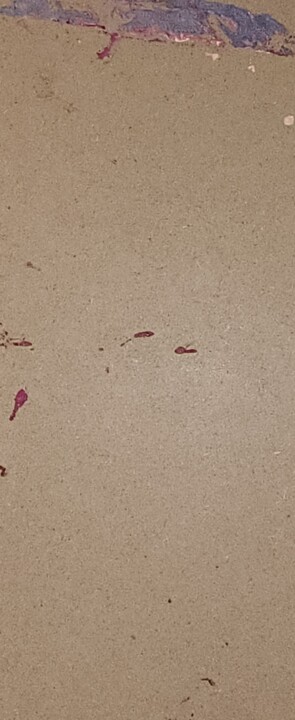 Vues supplémentaires 2