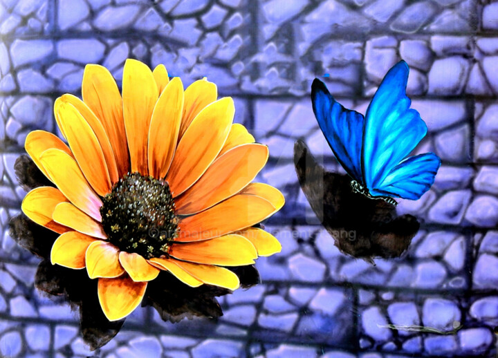 The Wall Art of Butterfly and Flower 摄影