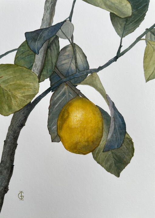LIMONELLO 绘画, 11.8x7.9 in