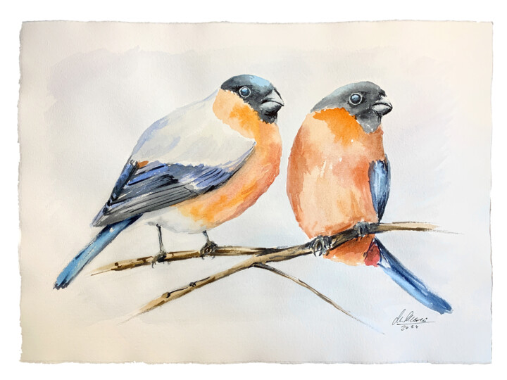 Polish birds - Pyrrhula pyrrhula 2 绘画, 11.8x16.5 in