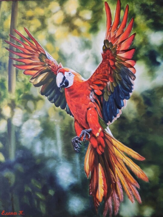 Flight 绘画, 23.6x19.7 in