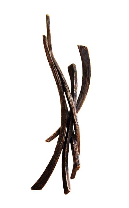 Sculpture titled "Bird I" by Vincent Champion-Ercoli, Original Artwork, Bronze