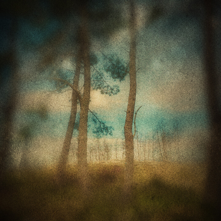 Photography titled "(d)A espantosa real…" by Adelino Marques, Original Artwork, Digital Photography