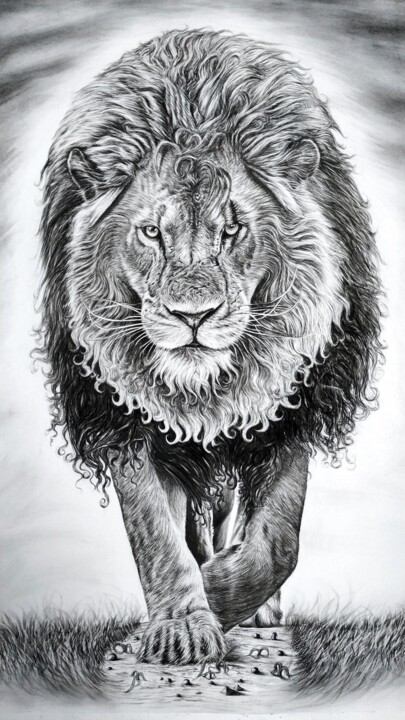 Animal Artworks Drawing, 26.6x15 in