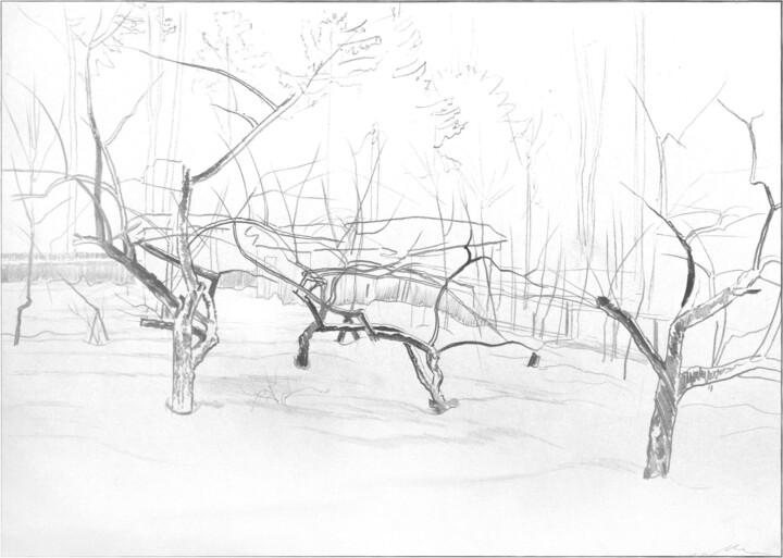 Disegno,  16,5x23,6 in 