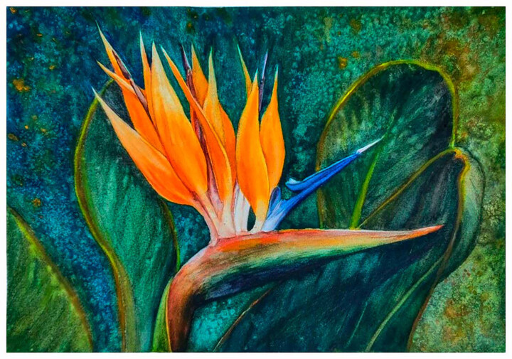 Her Majesty Strelitzia! 绘画, 11.7x16.5 in