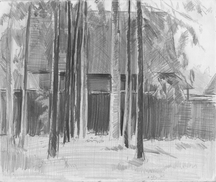 图画,  9.8x11.8 in 