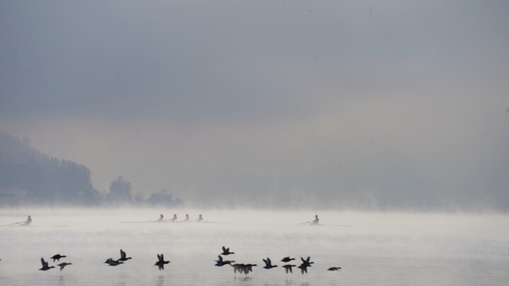 the race on the lake 摄影