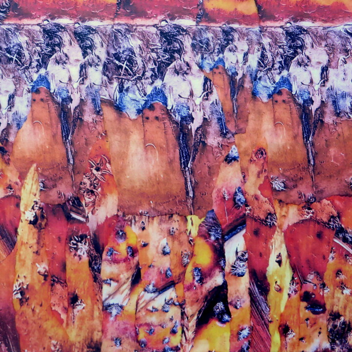 Collages intitulée "Ecorces II" par Patrick Haentzler, Œuvre d'art originale, Collages