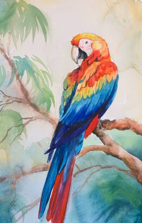 Rainbow parrot 绘画, 14.2x10.2 in