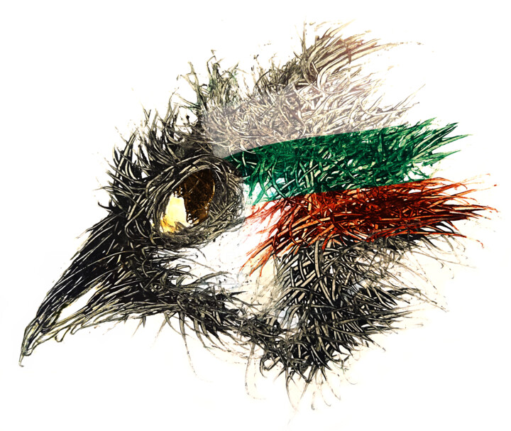 Pandemi bird Bulgarien 数字艺术