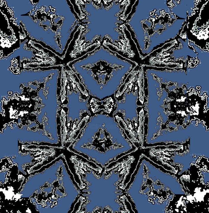 제목이 "Starfish 2k3c"인 사진 Ken Lerner로, 원작, 디지털