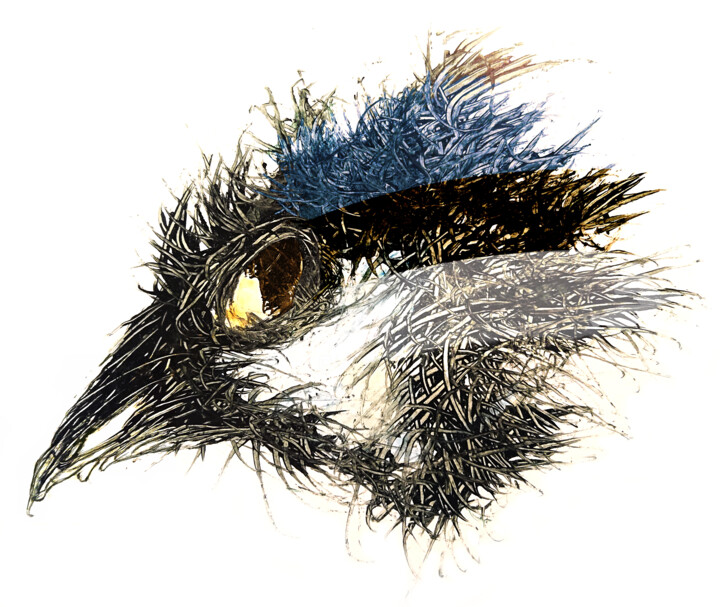 Pandemi bird Estland 数字艺术