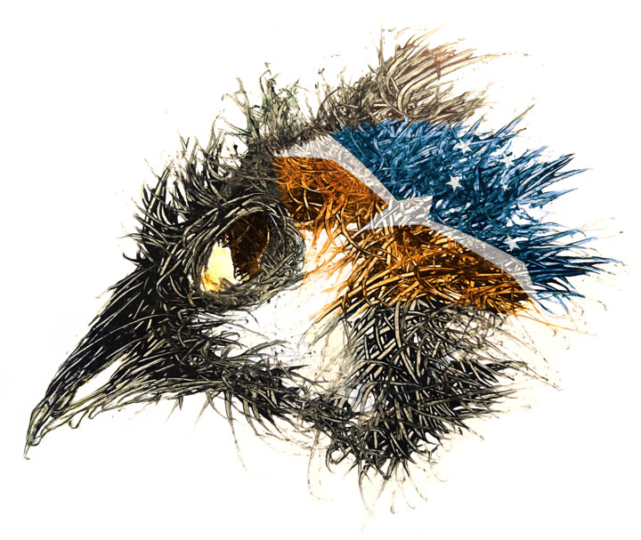Pandemi bird Argentinska-Antarktis 数字艺术