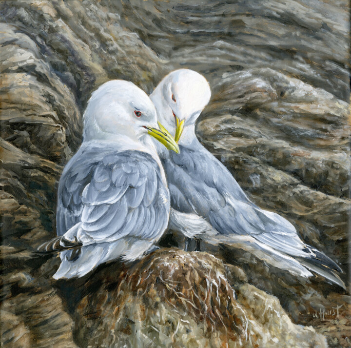 Black legged kittiwakes Rissa tridactyla sea cliff birds 绘画, 14x14 in