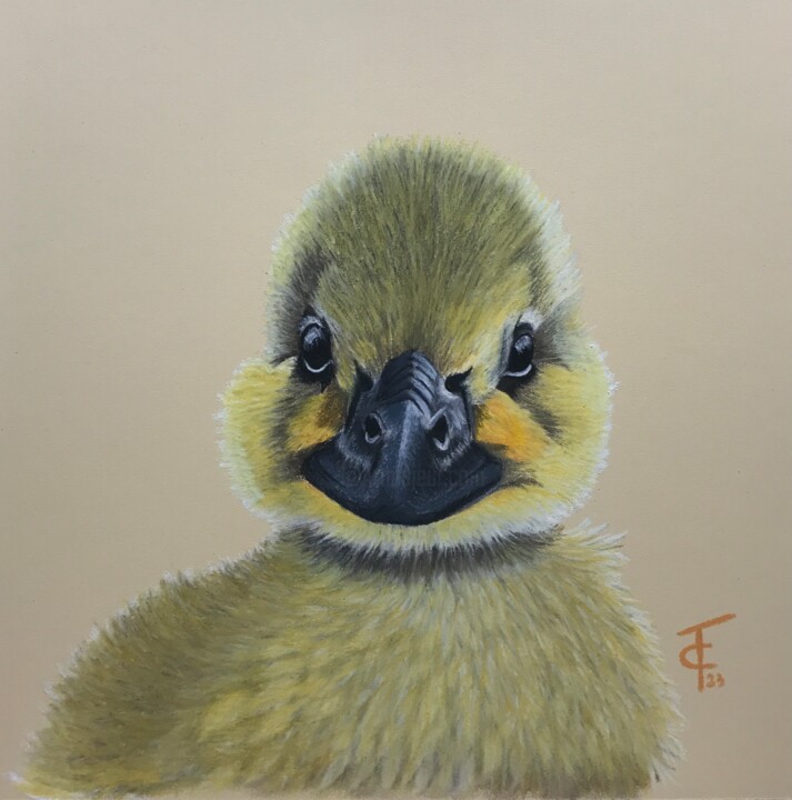 Dibujo titulada "Le vilain petit can…" por Pastels Et Velours, Obra de arte original, Pastel