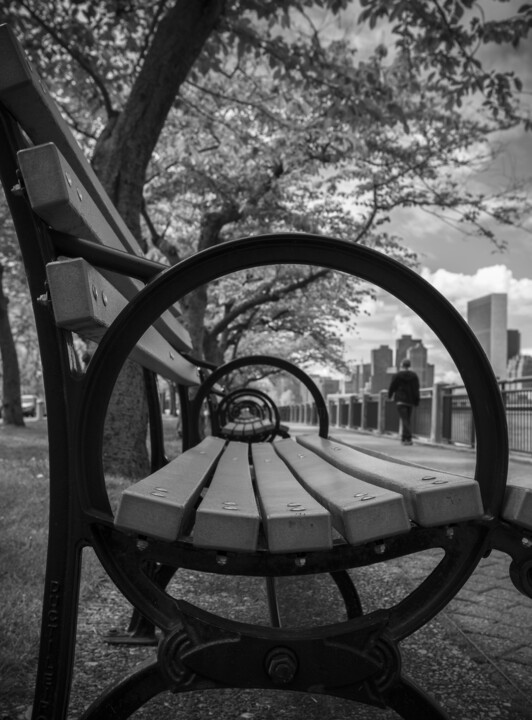 Photographie intitulée "Roosevelt Island #1" par Christophe Aubry, Œuvre d'art originale, Photographie numérique