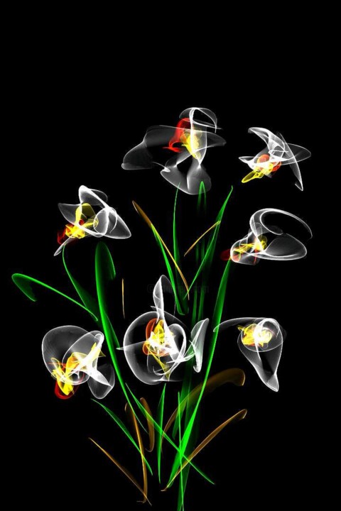 "Bild Nr.33 Blumengr…" başlıklı Dijital Sanat Joachim Ganske tarafından, Orijinal sanat, Dijital Resim