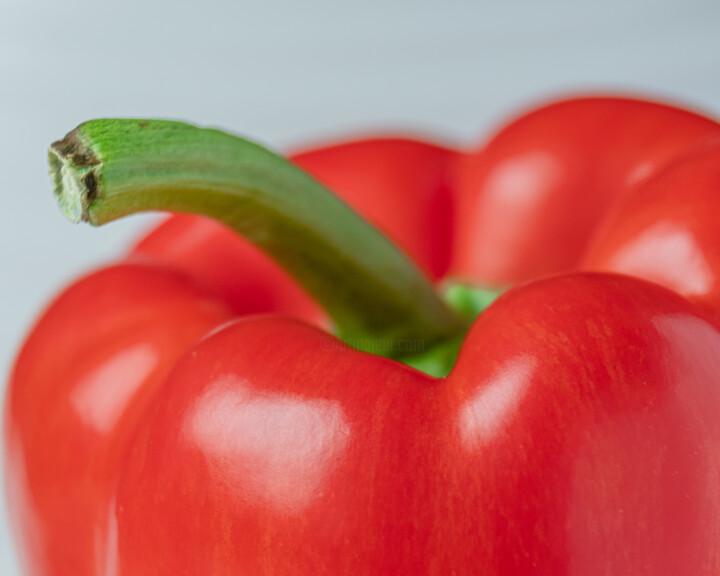 red paprika 摄影