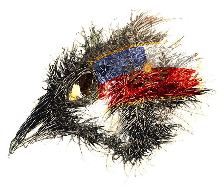 Pandemi Bird Catamarca 数字艺术