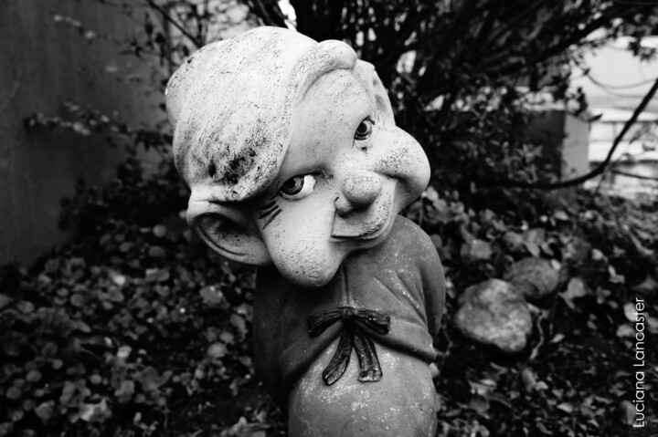 Aquele amigo no jardim Fotografie
