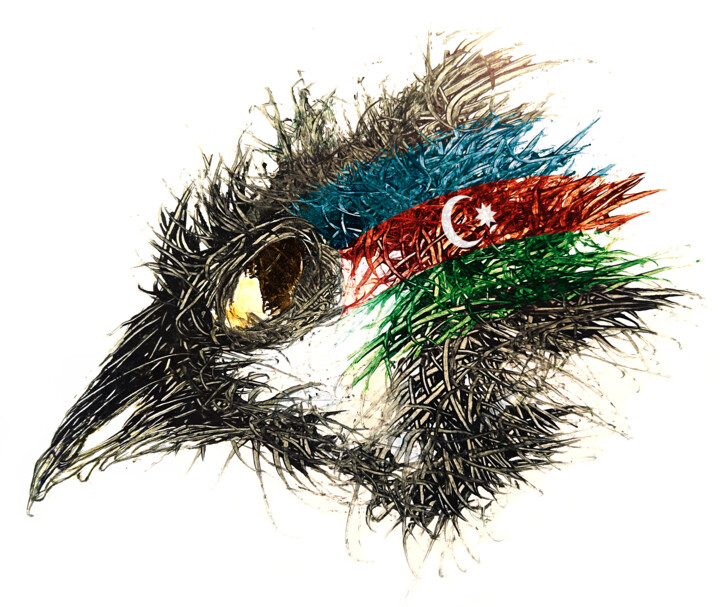 Pandemi Bird Azerbajdzjan 数字艺术