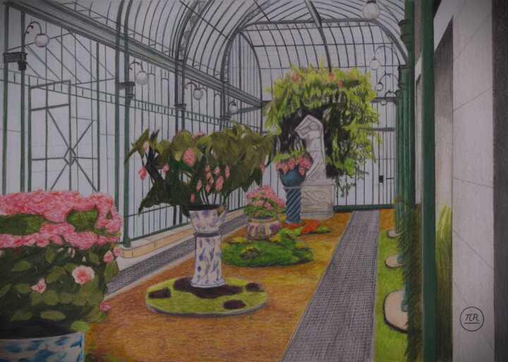 Serres royales de Laeken Рисунок, 11x15,8 in