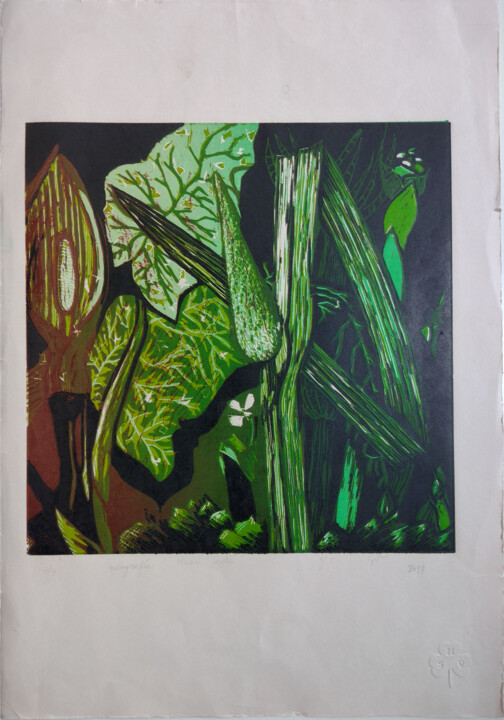 Herbáceo Obrazy i ryciny, 19,7x13,8 in