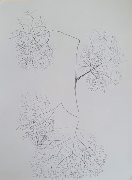 图画 标题为“végétal graphique n…” 由Evelyne Siaudeau, 原创艺术品, 圆珠笔