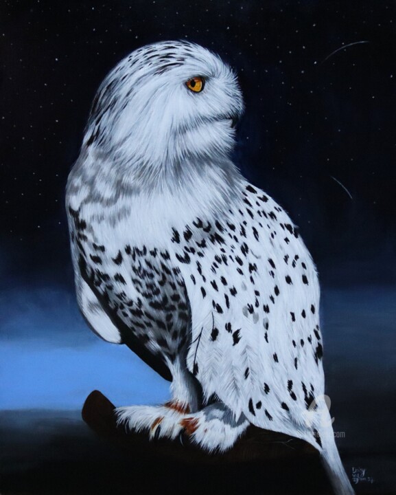 Hedwig Junior 绘画, 19.7x15.8 in