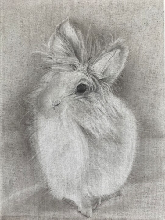 Konijn 绘画, 15.8x11.8 in
