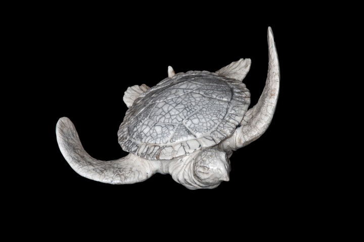 La tortue Sculptuur, 11,8x5,9 in
