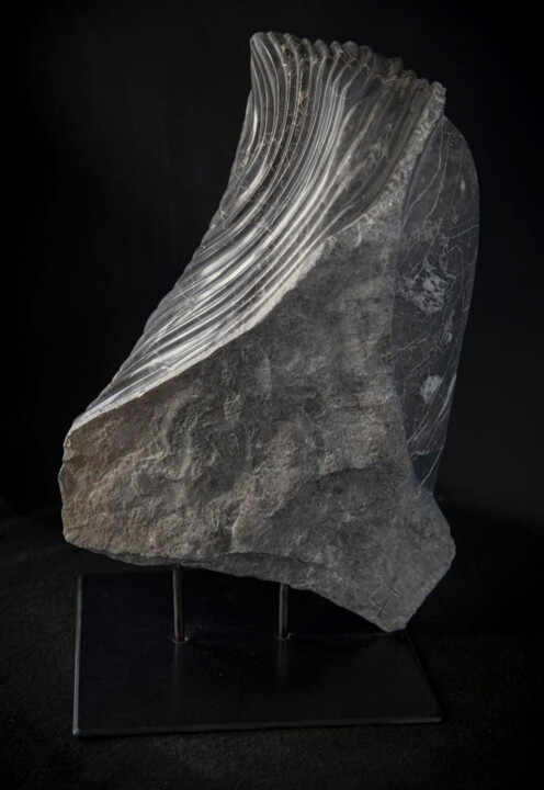 Chrysalide 雕塑, 14.6x10.2 in