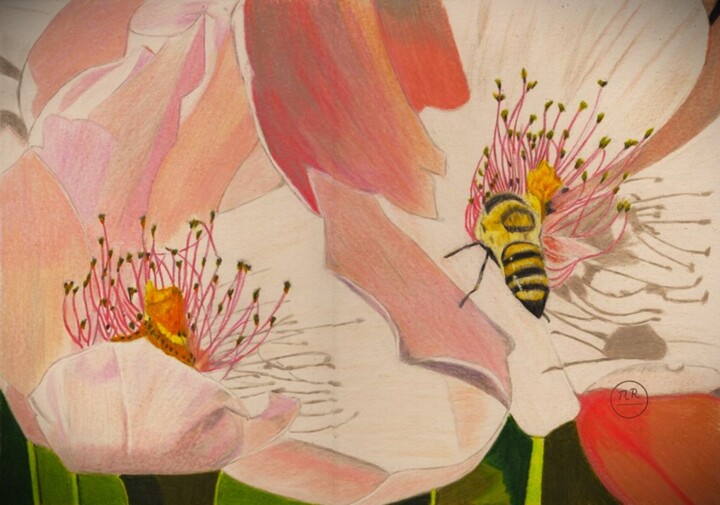 Abeille en visite 图画, 11x15.8 in