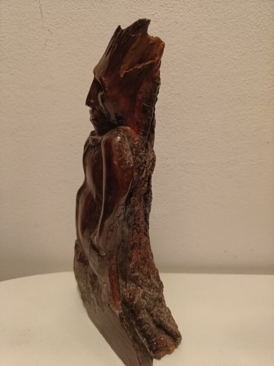 其他意见 2