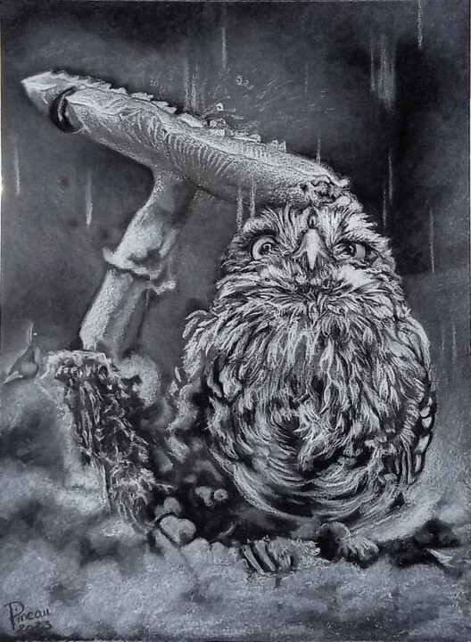 hyper chouette 图画, 11.7x8.3 in