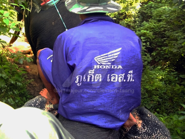 Malaysia - Elephant Walk in the Forest #1 摄影